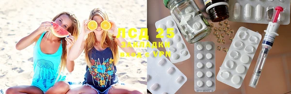 ГАЛЛЮЦИНОГЕННЫЕ ГРИБЫ Беломорск