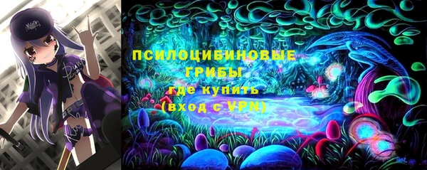 ГАЛЛЮЦИНОГЕННЫЕ ГРИБЫ Беломорск