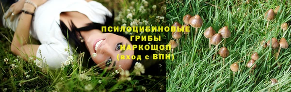 ГАЛЛЮЦИНОГЕННЫЕ ГРИБЫ Беломорск