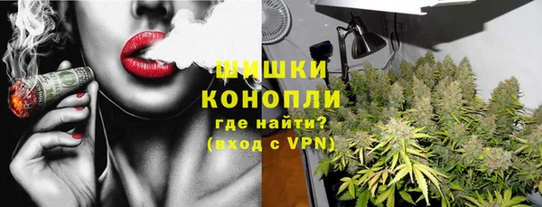 ГАЛЛЮЦИНОГЕННЫЕ ГРИБЫ Беломорск