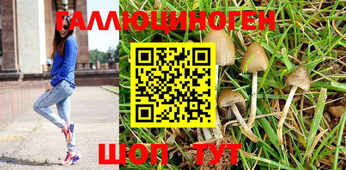 Галлюциногенные грибы мицелий  Вход с VPN  Каспийск  Галлюциногенные грибы MAGIC MUSHROOMS 