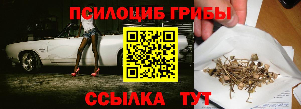 Псилоцибиновые грибы ЛСД Каспийск